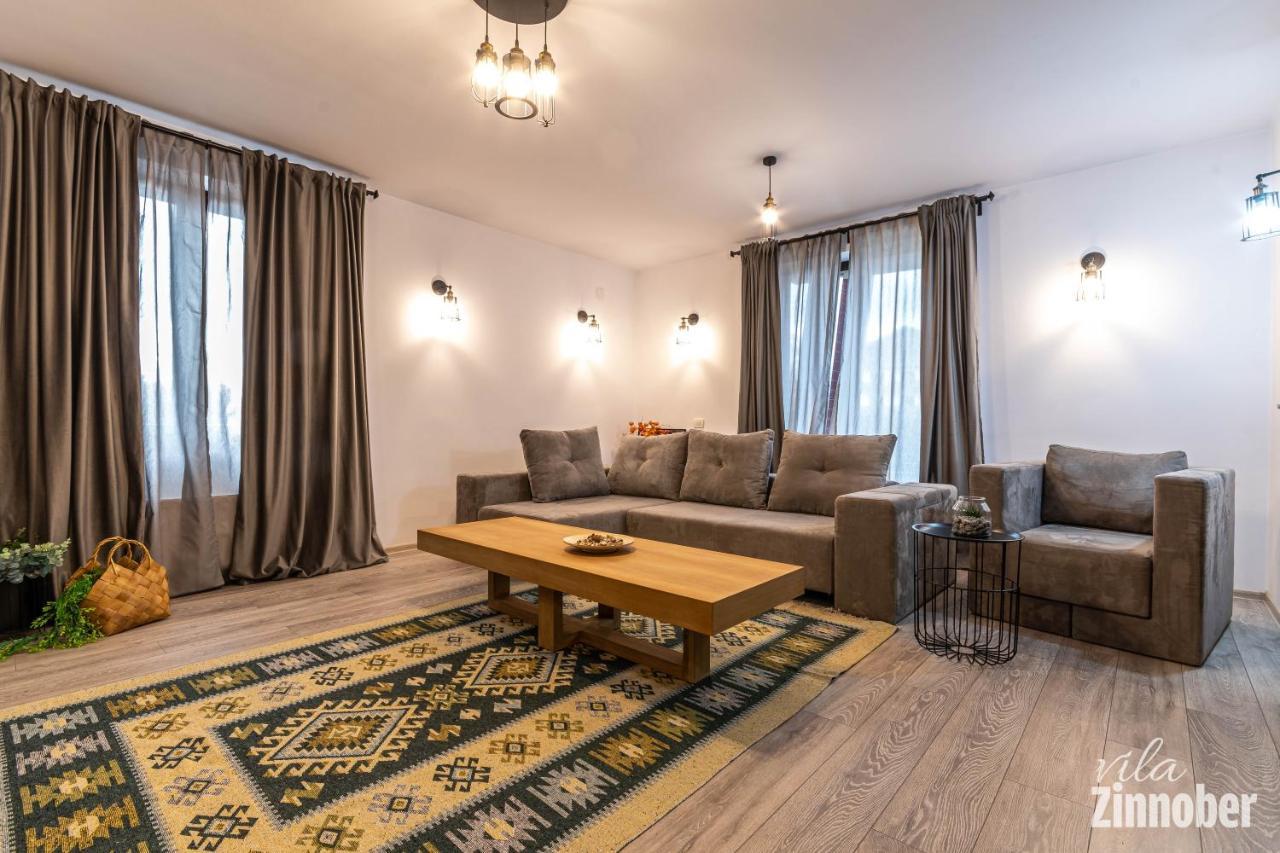 Vila Zinnober 브라쇼브 외부 사진