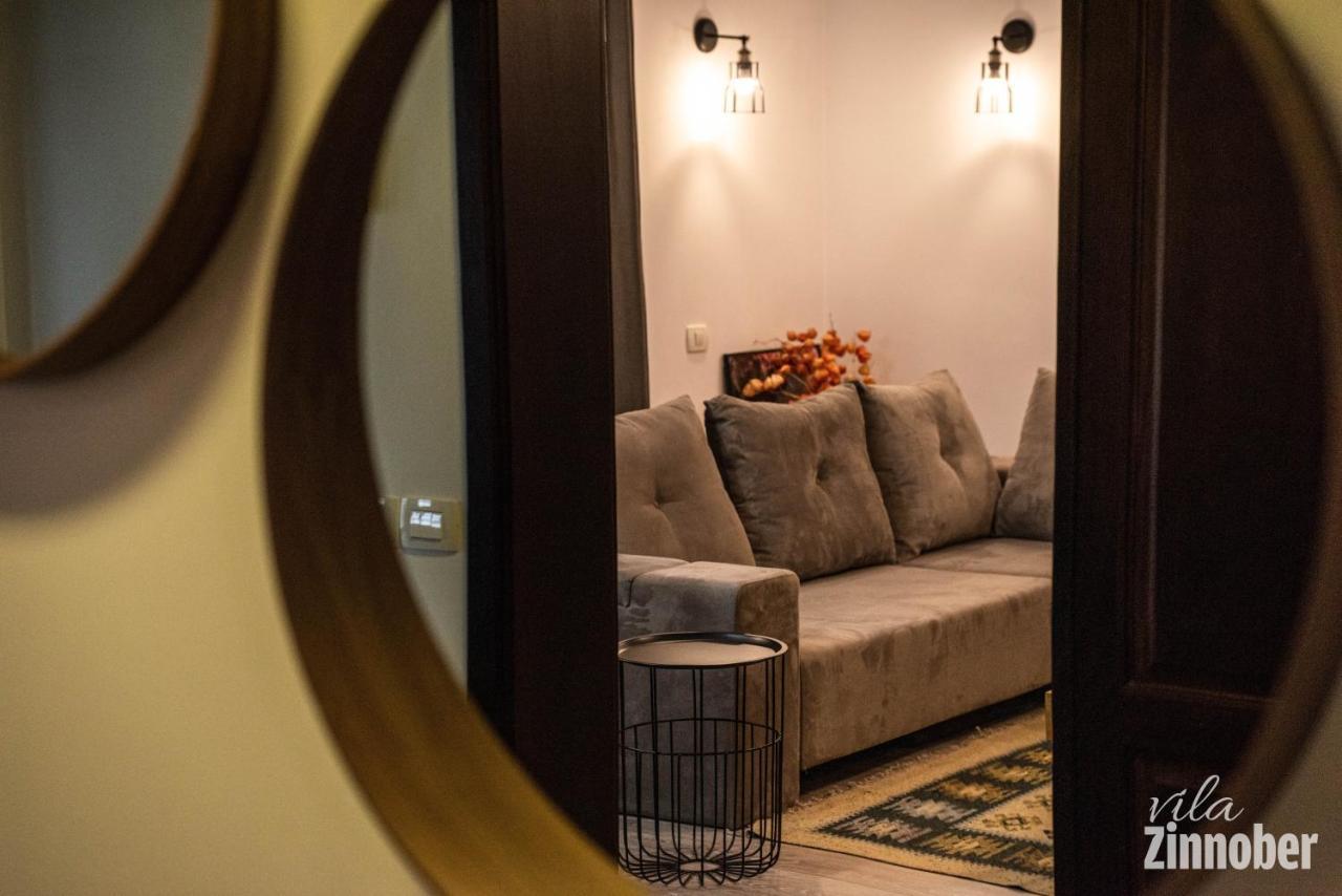 Vila Zinnober 브라쇼브 외부 사진