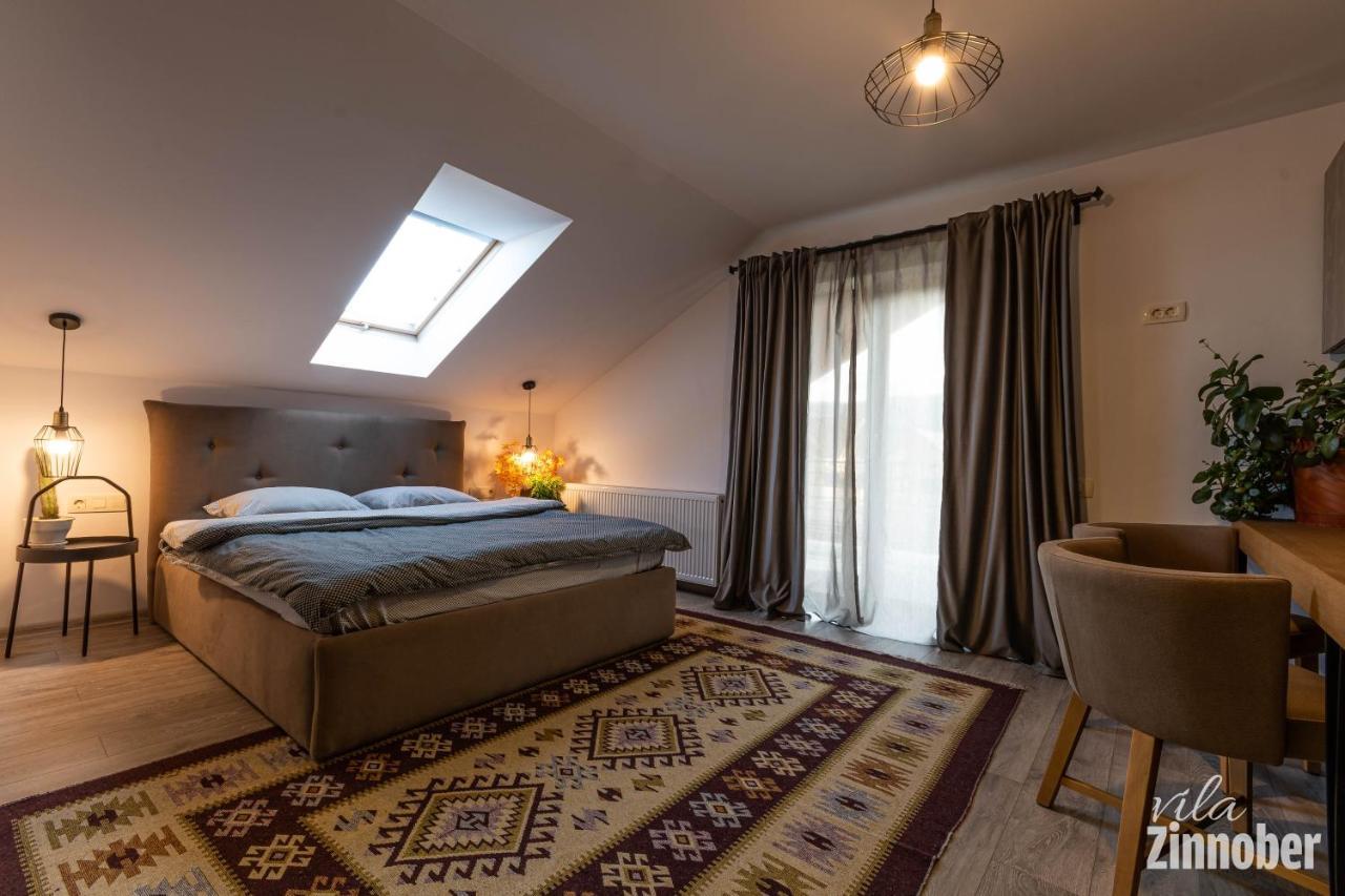 Vila Zinnober 브라쇼브 외부 사진