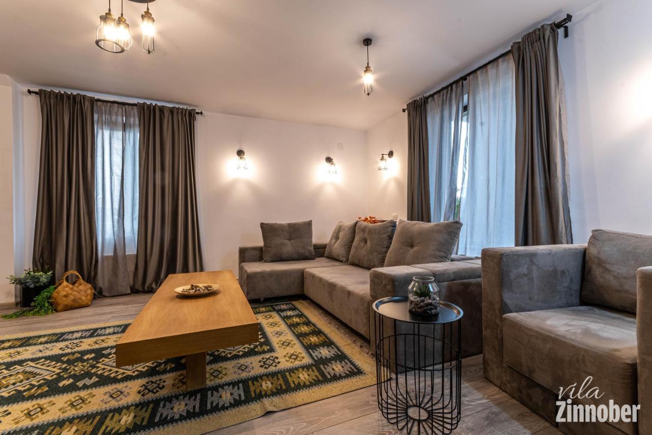 Vila Zinnober 브라쇼브 외부 사진