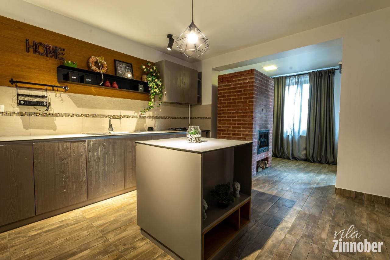 Vila Zinnober 브라쇼브 외부 사진
