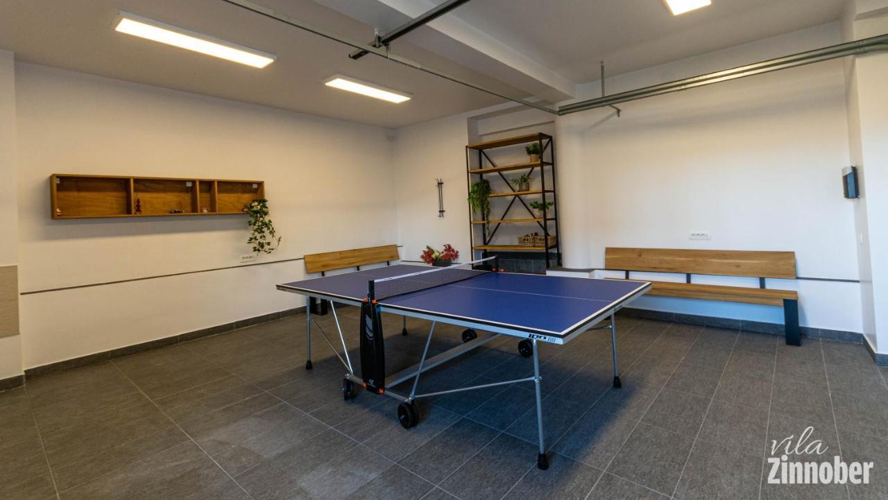 Vila Zinnober 브라쇼브 외부 사진